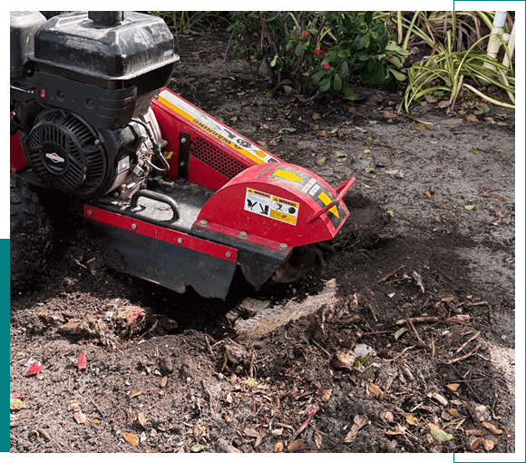A motorized tiller cultivating soil in a garden.