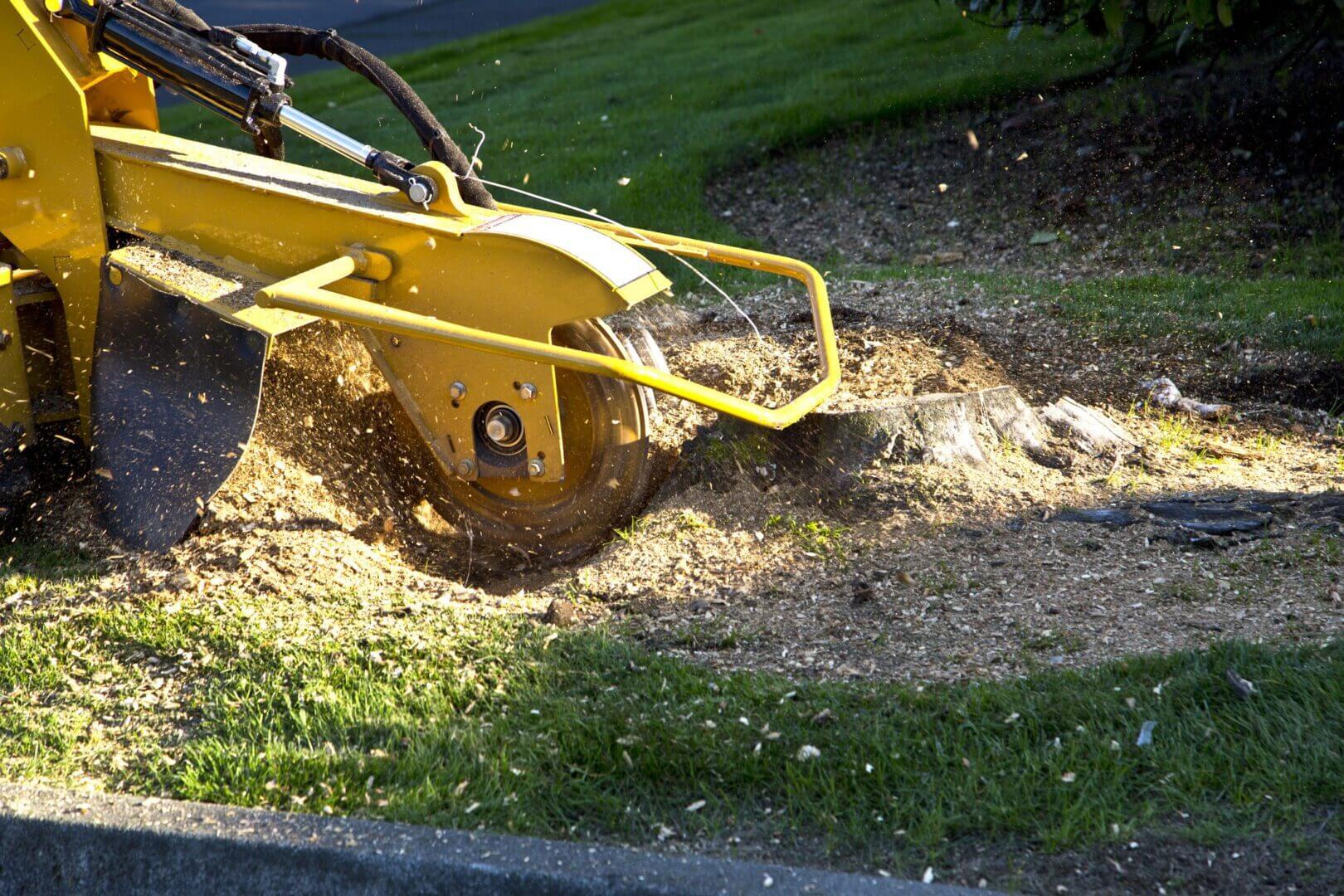 A yellow stump grinder removing a tree stump in a grassy area.