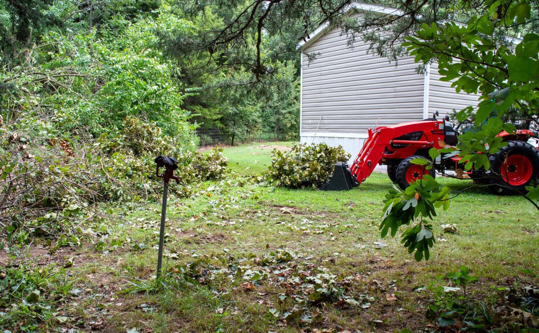A red tractor clearing leaves in a yard near a house.