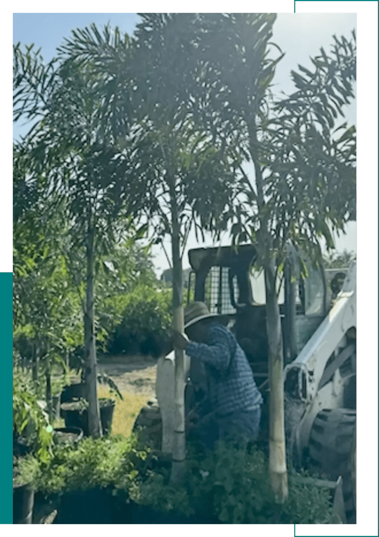 A man watering plants near a white vehicle in a garden.