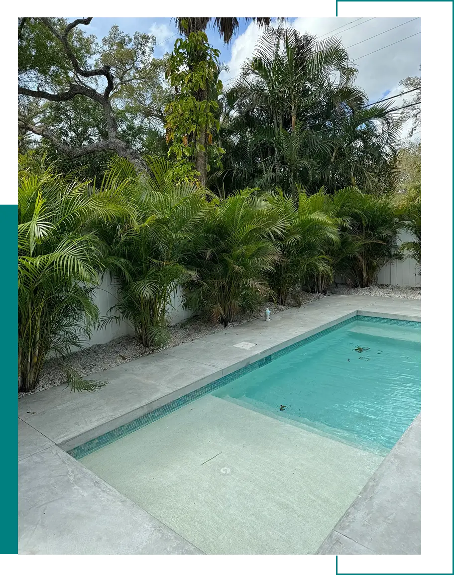 A small pool with clear water surrounded by green plants and trees.