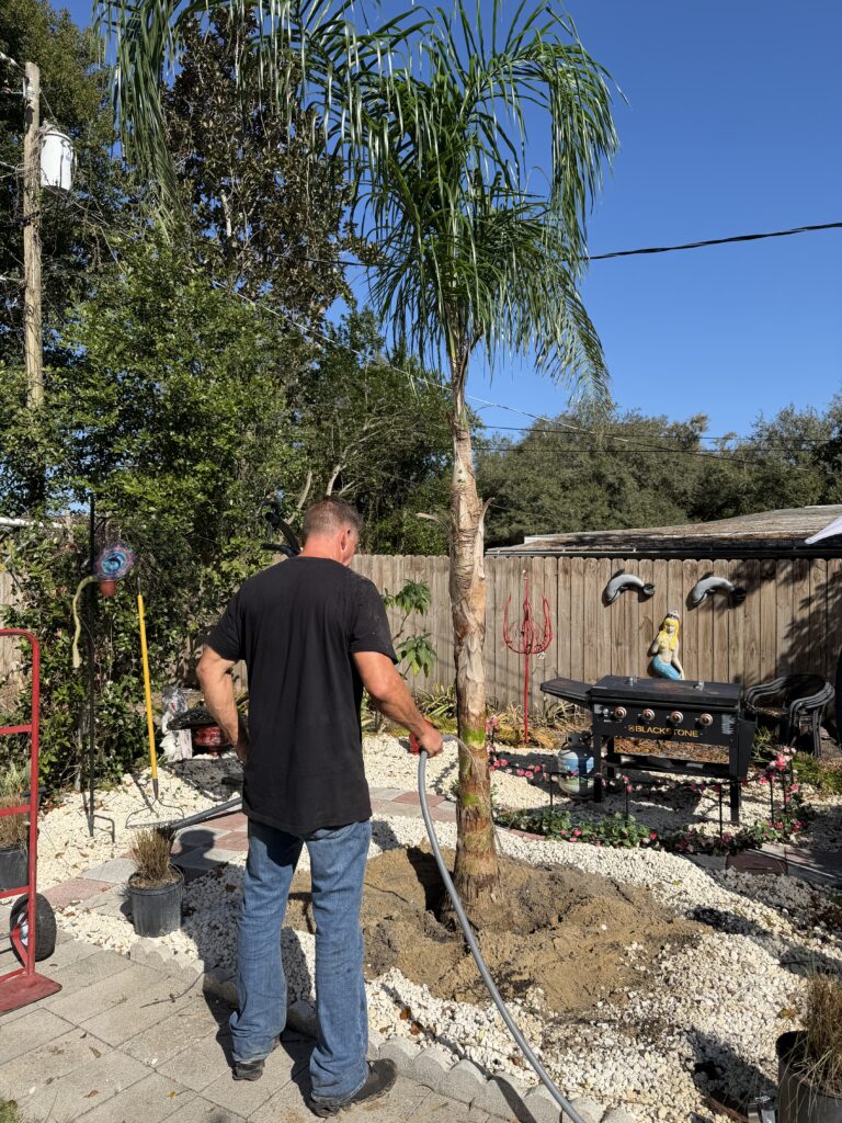 Man grilling outdoors in a sunny backyard.