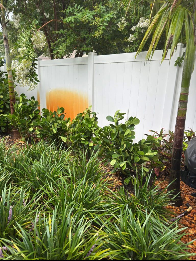 Outdoor painting of a large orange fruit slice on a canvas by greenery.