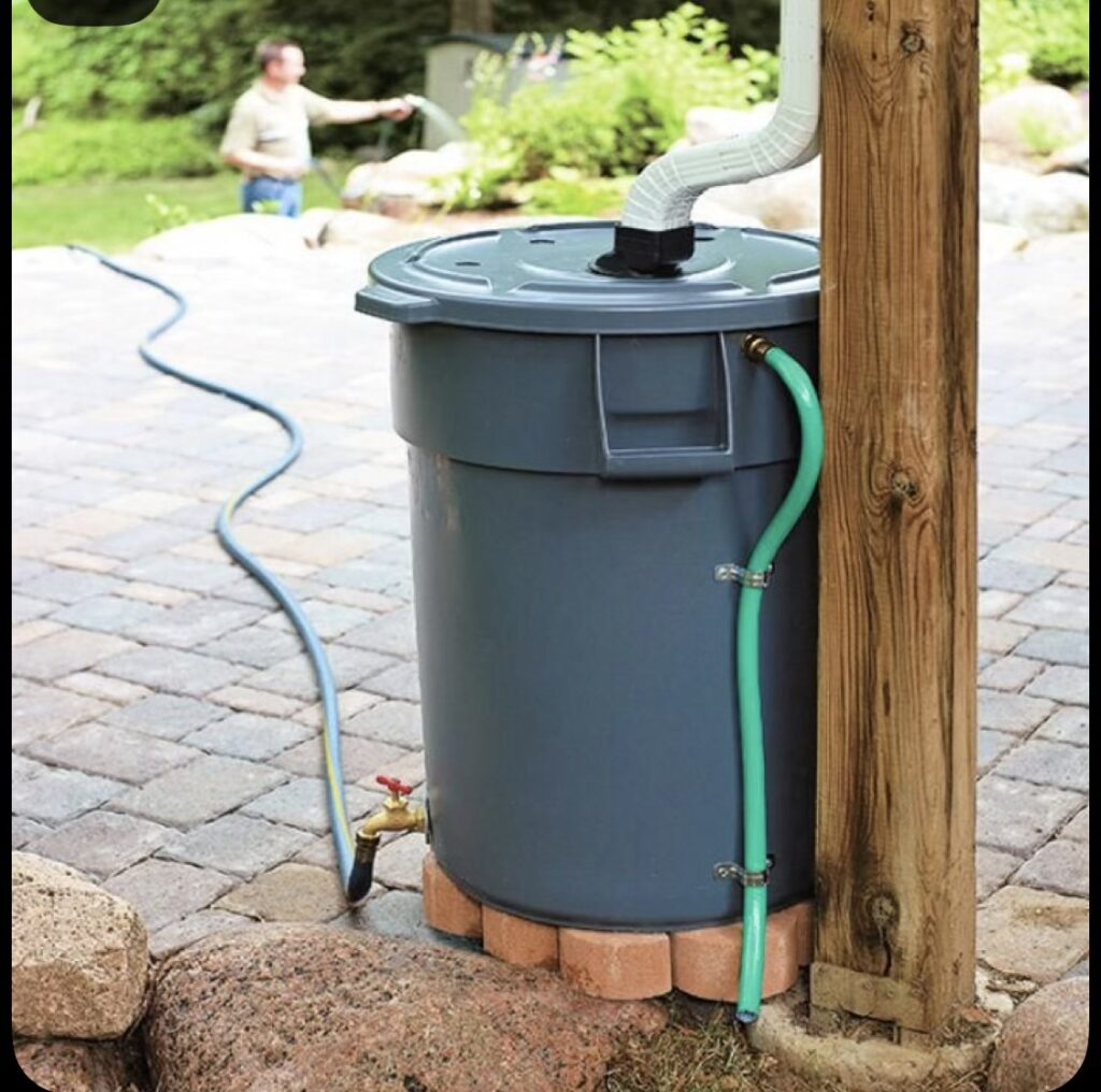 Outdoor hose connected to a trash can for water collection.