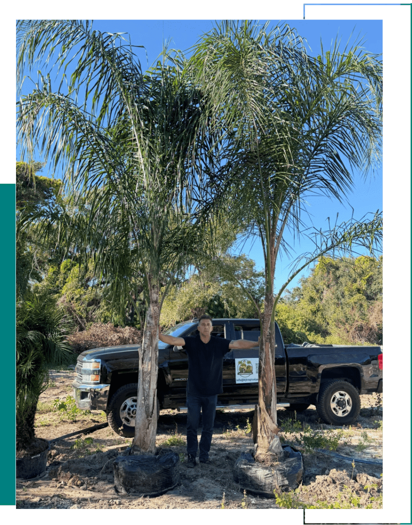 Man standing between two tall palm trees in a sunny outdoor setting.
