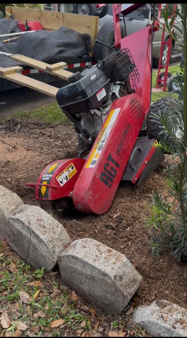 Red walk-behind stump grinder near curb stones
