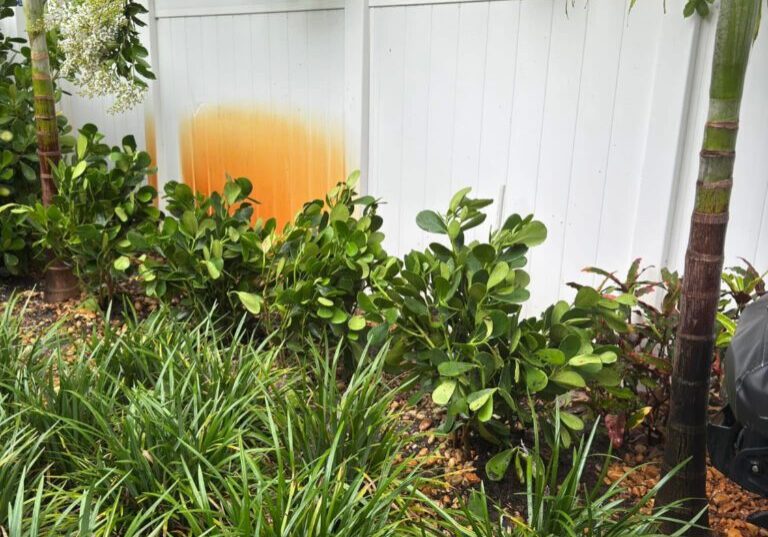 White fence with orange rust stain and greenery